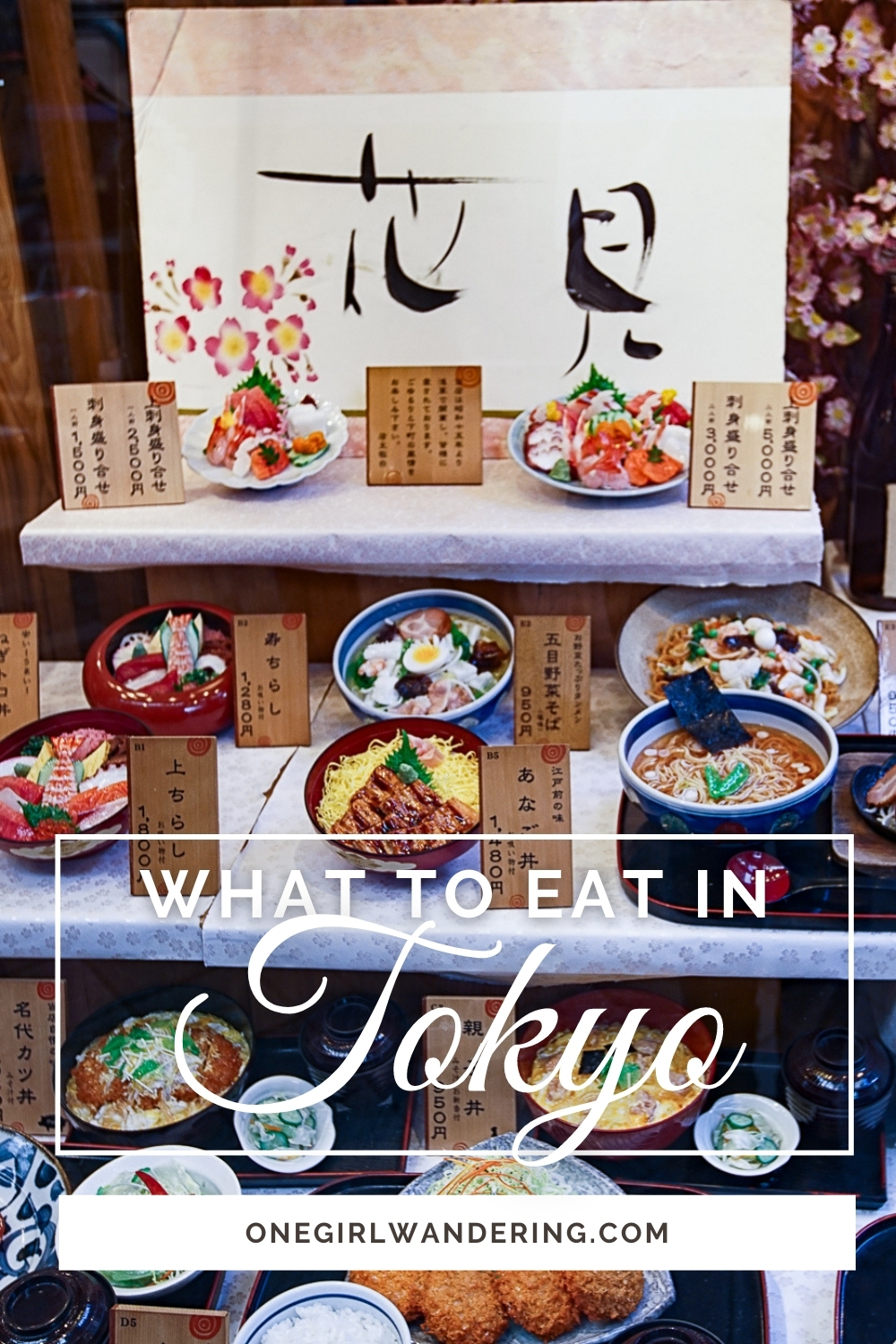 Tokyo Food Guide