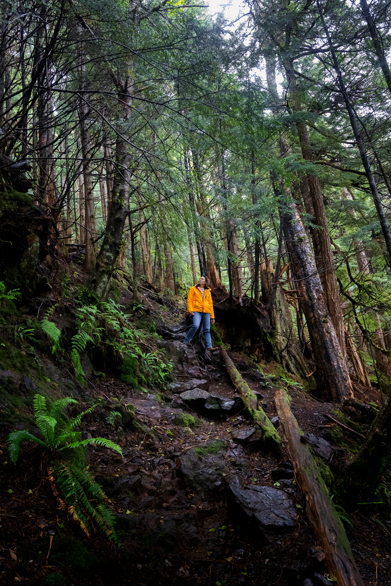 Lindsay, One Girl Wandering, walks in the Tongass National Forest in Ketchikan Alaska
